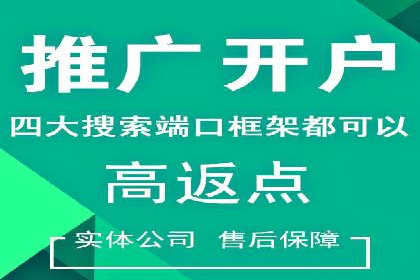 行业标杆：SEM推广代运营成功案例